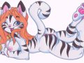 Kitty Toy Wanna Play.jpg